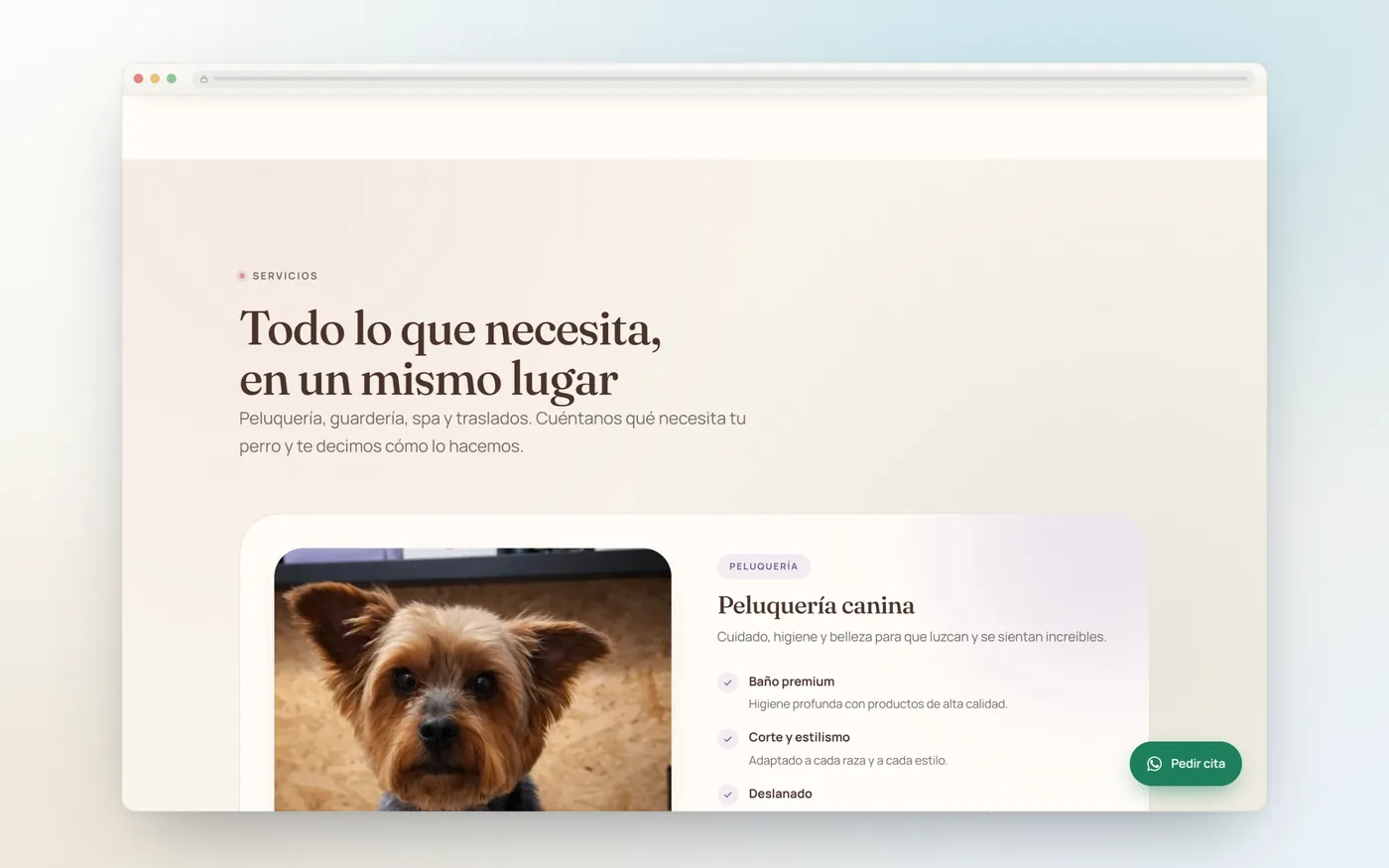 Sección de servicios de Xikipumpum con las fichas de peluquería y guardería